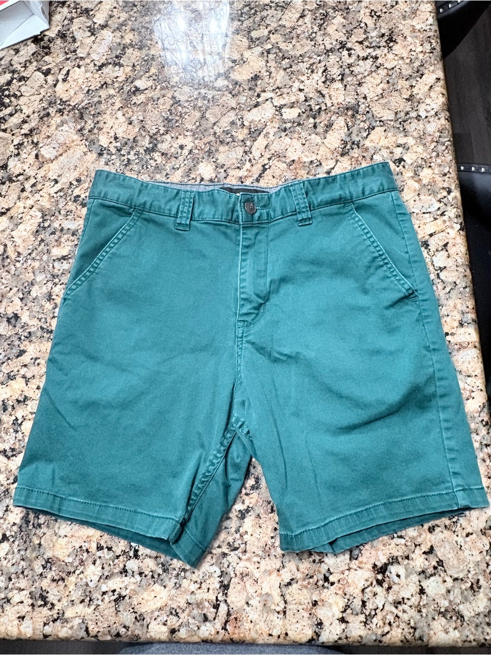 RSQ faded green chino Men's Shorts